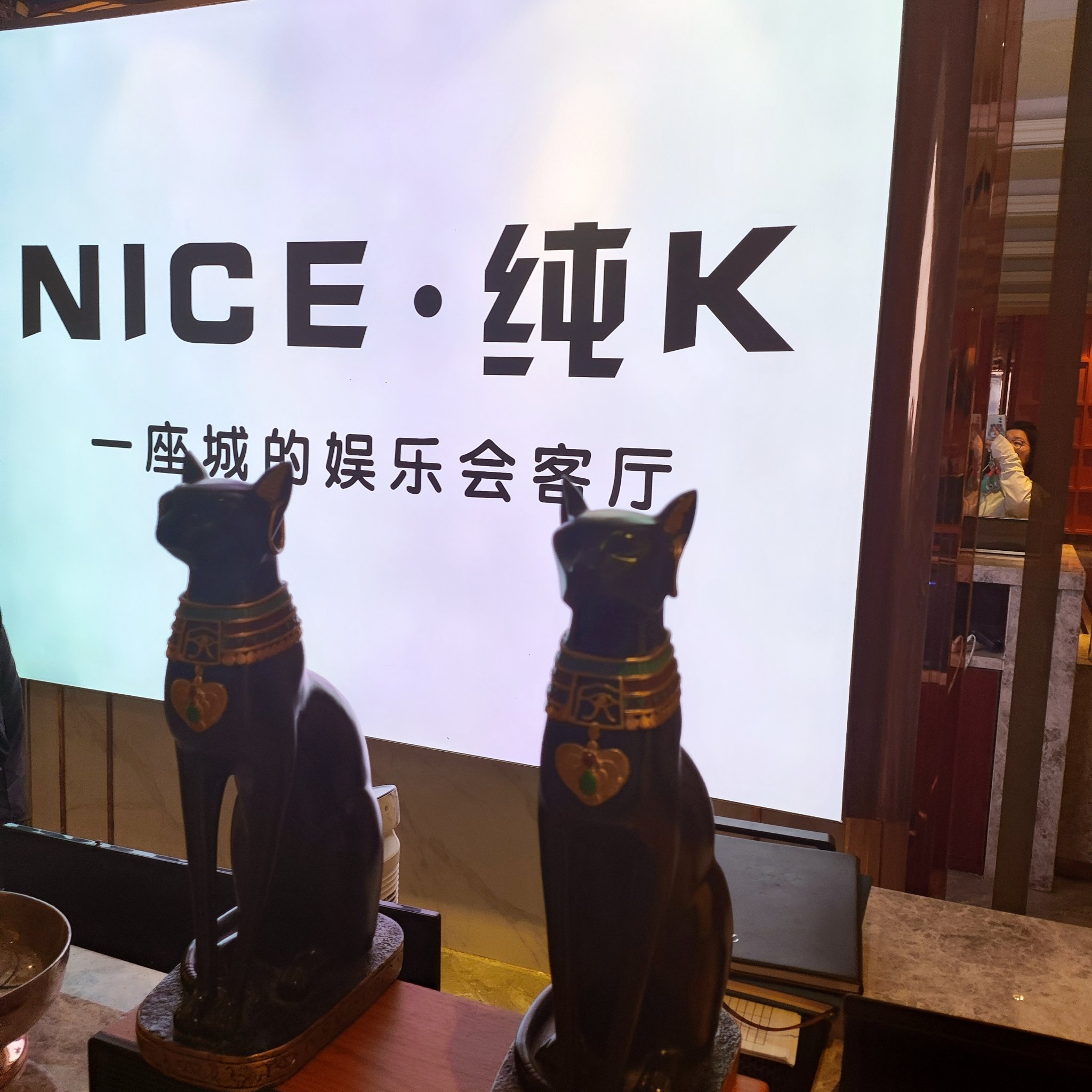 毕节商务ktv怎么玩享受专业服务体验-七星关区ktv预订